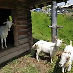 Hotel Arthurhaus Mühlbach am Hochkönig