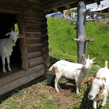 Hotell Arthurhaus Mühlbach am Hochkönig