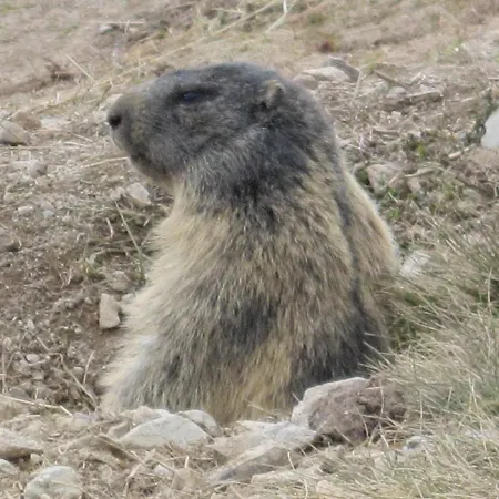 Hotell Arthurhaus 3*